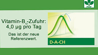 Neuer Referenzwert Für Die Vitamin-B12-Zufuhr | DGE