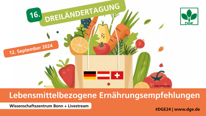 Papiertüte mit Gemüse und Obst, darunter die Flaggen von Deutschland, Österreich und der Schweiz. Symbolbild der 16. Dreiländertagung mit Beschriftung „Lebensmittelbezogene Ernährungsempfehlungen“