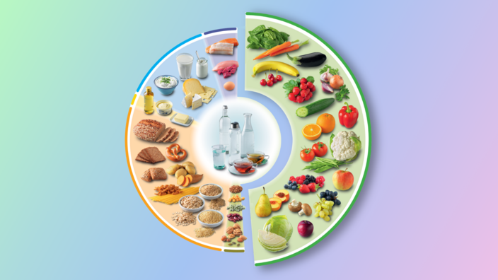 DGE-Ernährungskreis, das Segment „Obst und Gemüse“ ist hervorgehoben